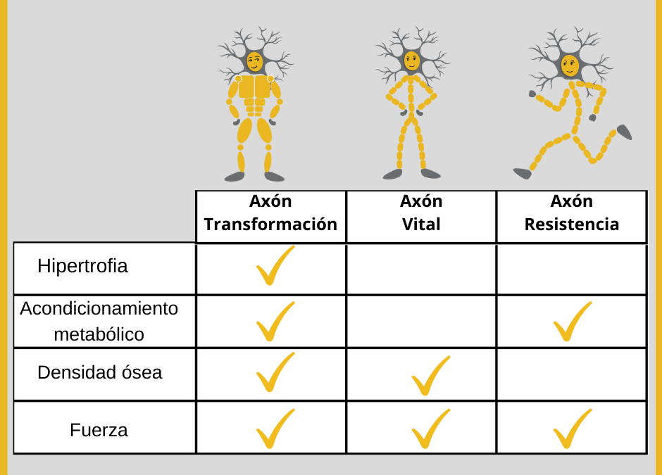 ¿Qué programa de ejercicio necesito?